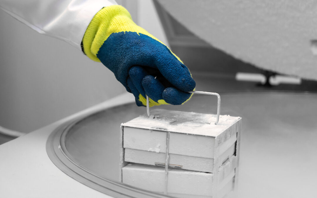 biosafety4u.berlin GmbH and Z.A.S. Zentral Archiv Service GmbH create joint cooperation in cell biobanking