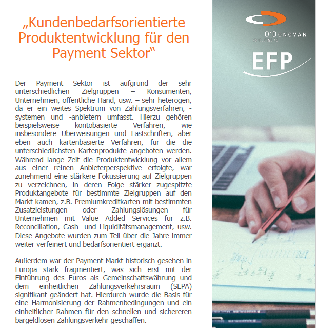 Vorschaubild aus dem White Paper: Produktentwicklung im Payment Sektor